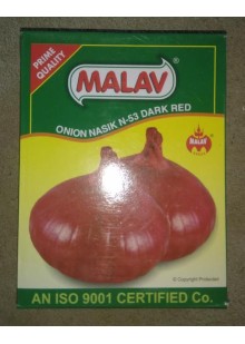 Malav N - 53